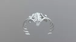 bones