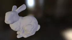 Bunny