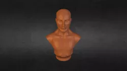 Buste
