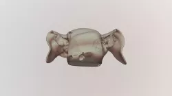 Canine Ear Trainer