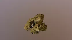 Cannabis Nug