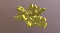 Coral Disign