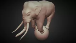 Day10: Circus Elephant