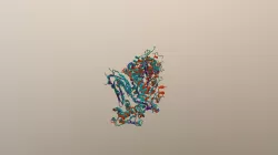 DNA pol I vs Taq pol