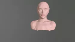First 3D Model