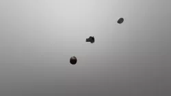 Frog Model