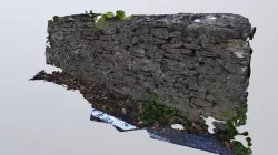 Front wall