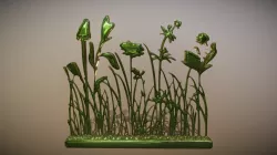 Grass