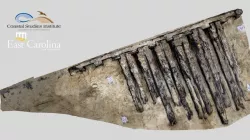 "Hall Wreck" inspection (BOB0042), 30 March 2018