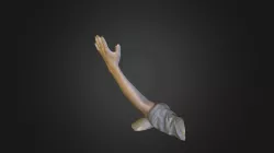 Hand