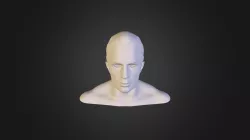 Head Model
