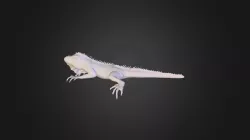 Igu Uv