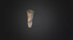 Knee