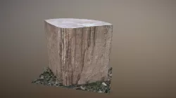 Log