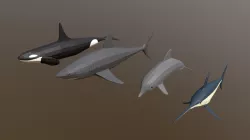 Low Poly Fish Collection
