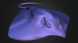Mantaray