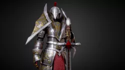 Medieval Fantasy Knight