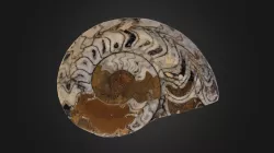 NAUTILUS