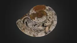 NAUTILUS