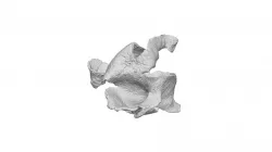Orange Peel No.3