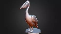 Pelican