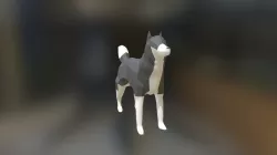 Perro