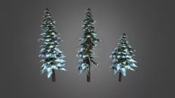 Pine tree
