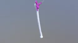 R_ROD Guide 01 dorsal