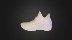 Shoe