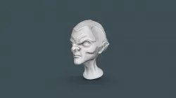 Some Char Head