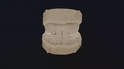 Teeth
