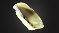 The Sushi of Mackerel