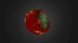Tomato