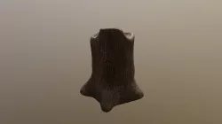 Tree Trunk (painting)