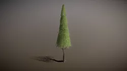 Tree03