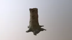 Tree1