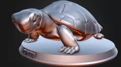 Turtle