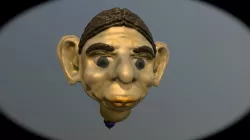 Viola