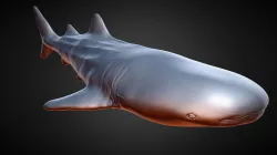 Whaleshark