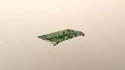 7R3D