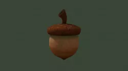 Acorn