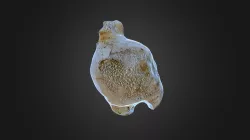 Amphora bead №78