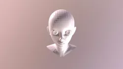 Anime Girl Head