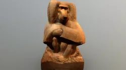 Baboon