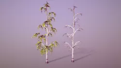 Birch Tree (Low Poly)