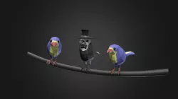 Birds