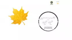 Chemistry of Fall Leaves