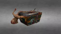 Chest for 3D