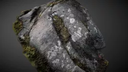 Cloanlawers 1 -Cup & Ring Marked Rock