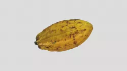 Cocoa Tiled2